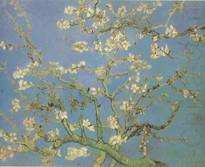 Blossoming Almond Tree (nn04), Vincent Van Gogh